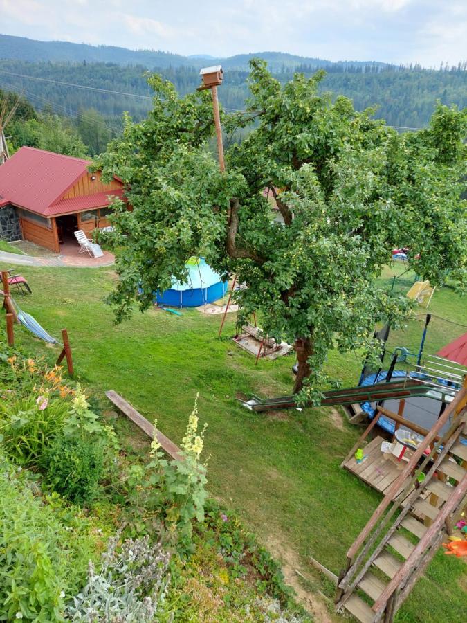 Domek Nad Lasem Koniaków Exteriör bild