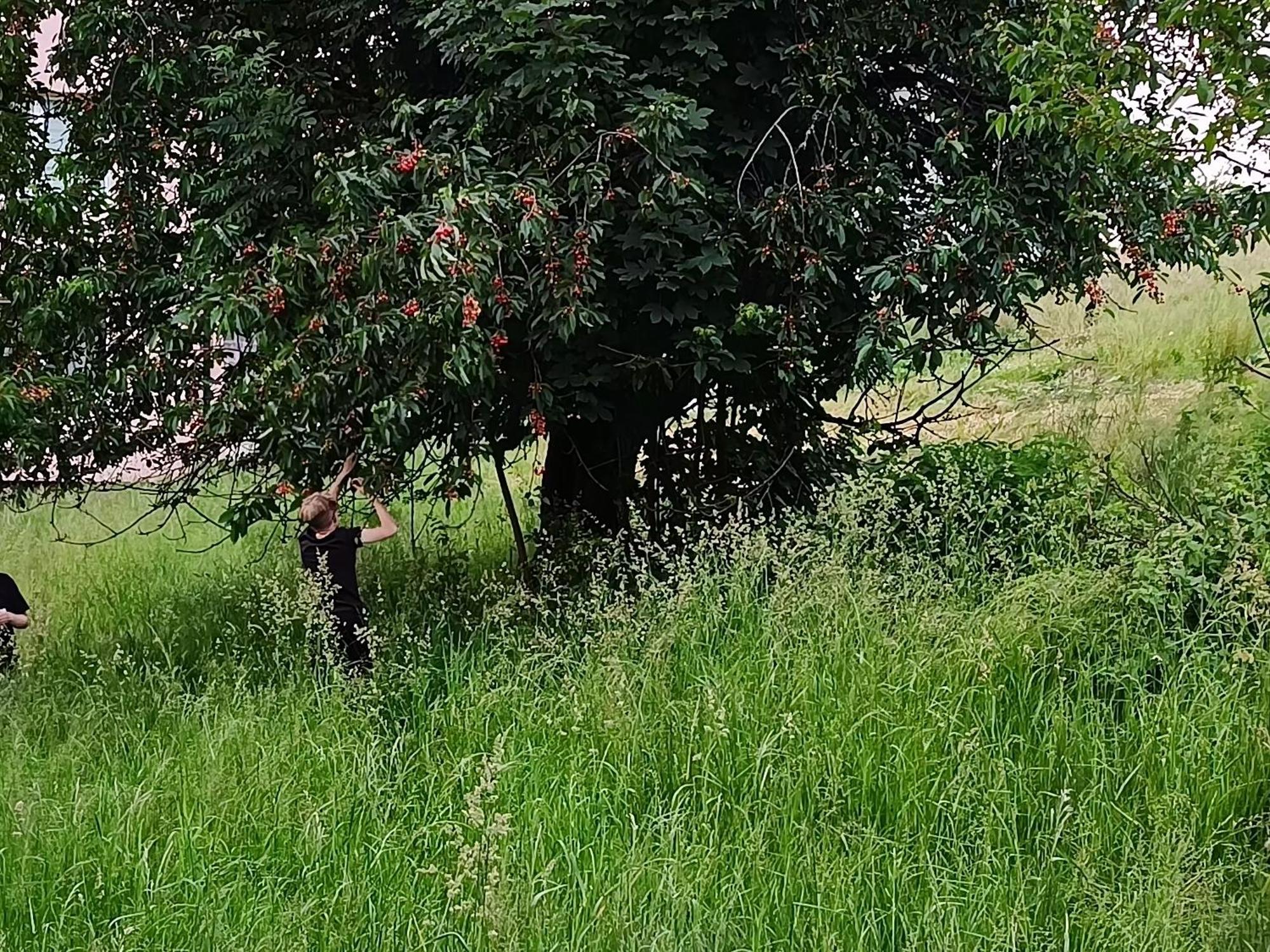 Domek Nad Lasem Koniaków Exteriör bild