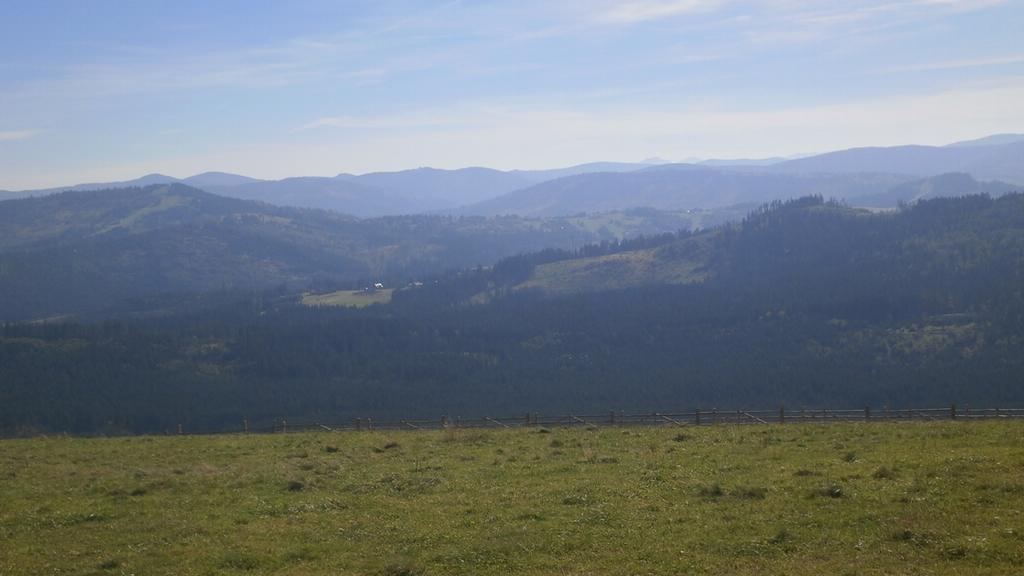 Domek Nad Lasem Koniaków Rum bild